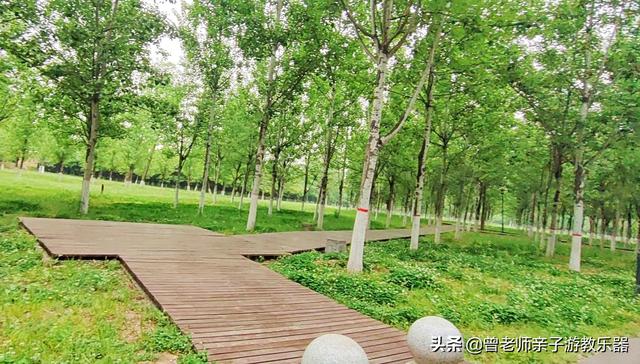 广东南岭旅游攻略 第305张