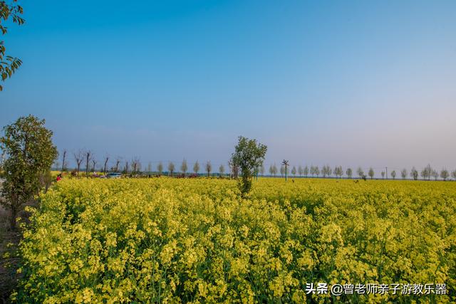 广东南岭旅游攻略 第325张