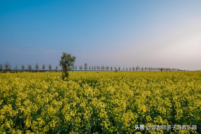 广东南岭旅游攻略 第326张