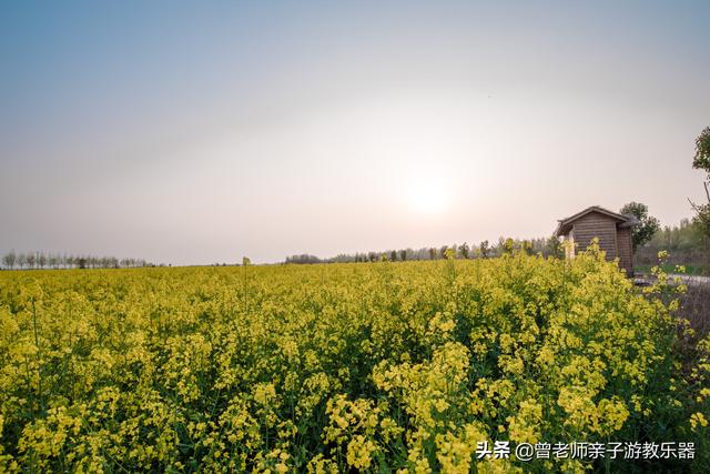 广东南岭旅游攻略 第329张