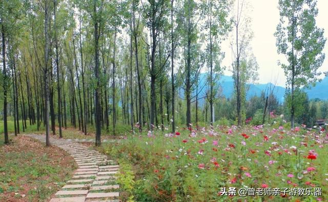 广东南岭旅游攻略 第322张