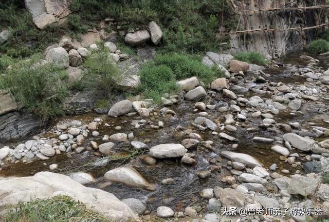 广东南岭旅游攻略 第340张