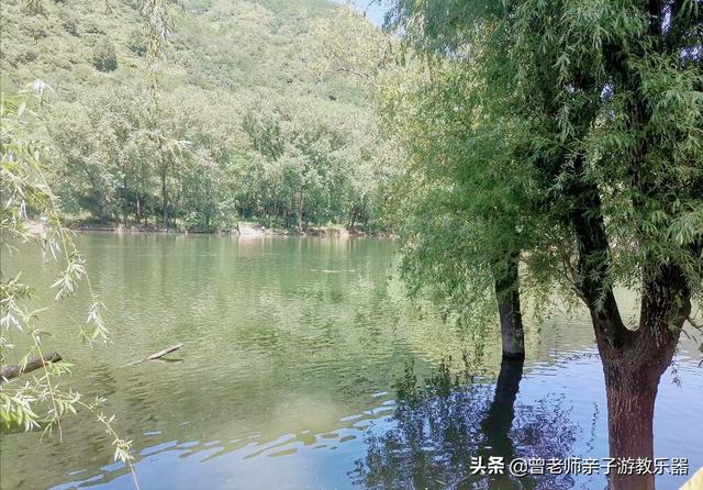 广东南岭旅游攻略 第336张
