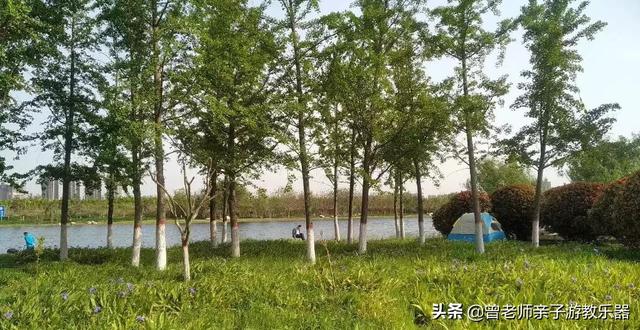 广东南岭旅游攻略 第354张