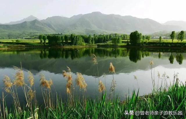 广东南岭旅游攻略 第360张