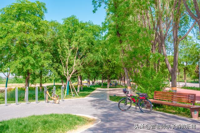 广东南岭旅游攻略 第356张