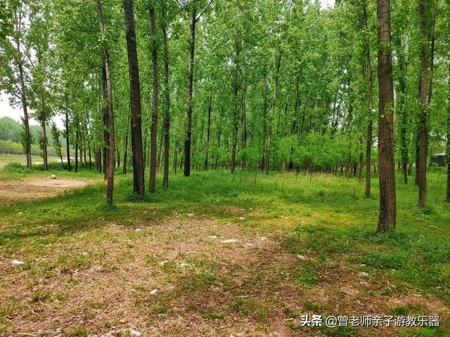 广东南岭旅游攻略 第365张