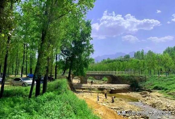 广东南岭旅游攻略 第369张
