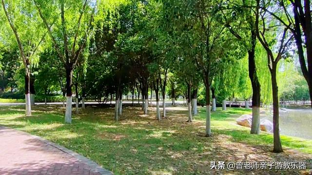 广东南岭旅游攻略 第371张