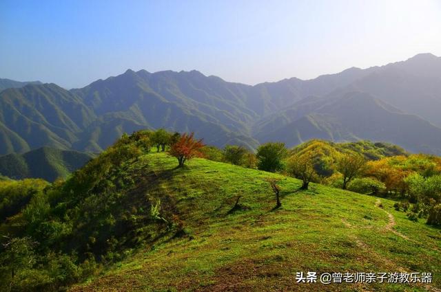 广东南岭旅游攻略 第396张