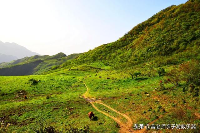广东南岭旅游攻略 第392张