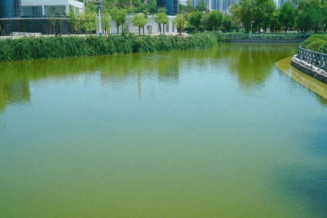 西安北郊好玩的娱乐「在西安有一个用建筑垃圾造成的公园」  第4张