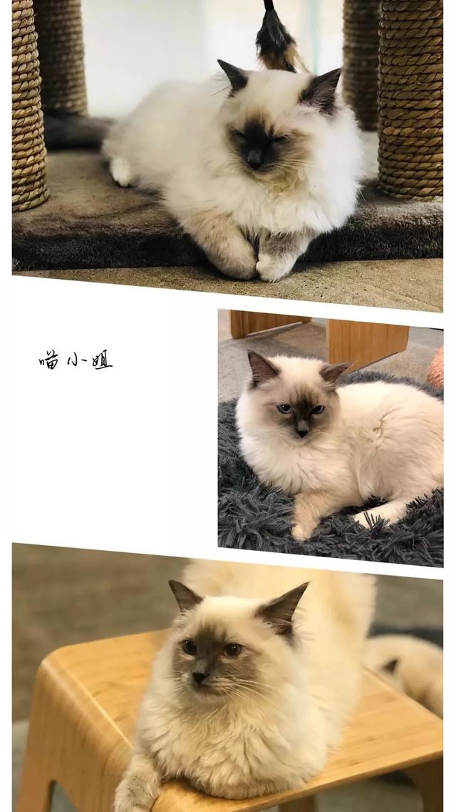 西安爱洛丁风洞飞行带给你的新奇体验,让你爽上天 第7张