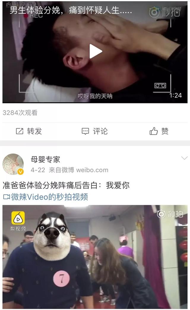 西安爱洛丁风洞飞行带给你的新奇体验,让你爽上天 第24张