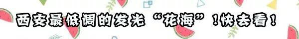 西安爱洛丁风洞飞行带给你的新奇体验,让你爽上天 第37张