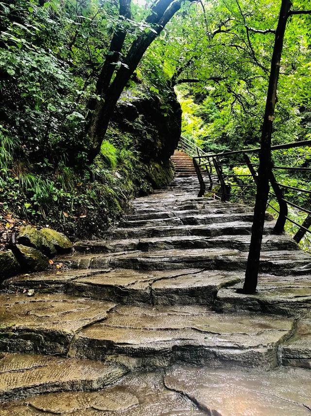 西安旅游攻略,九寨沟旅游攻略 第33张
