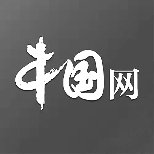 天业股份未披露对外担保余额共计65.09亿元