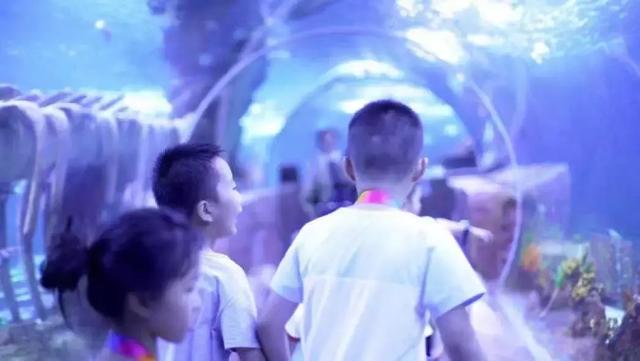 湖州明天雨下得大?台风来了雨肯定大 第14张