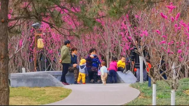 西安的主题公园都有哪些? 第17张