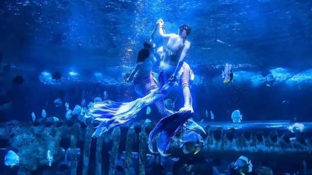 西安室内游览景点人气榜top1——曲江海洋极地公园 第9张
