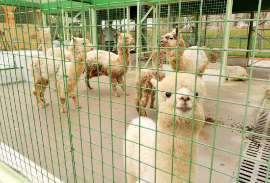西安天宫娱乐在哪里「广州融创乐园最强潮玩攻略来袭」 第6张