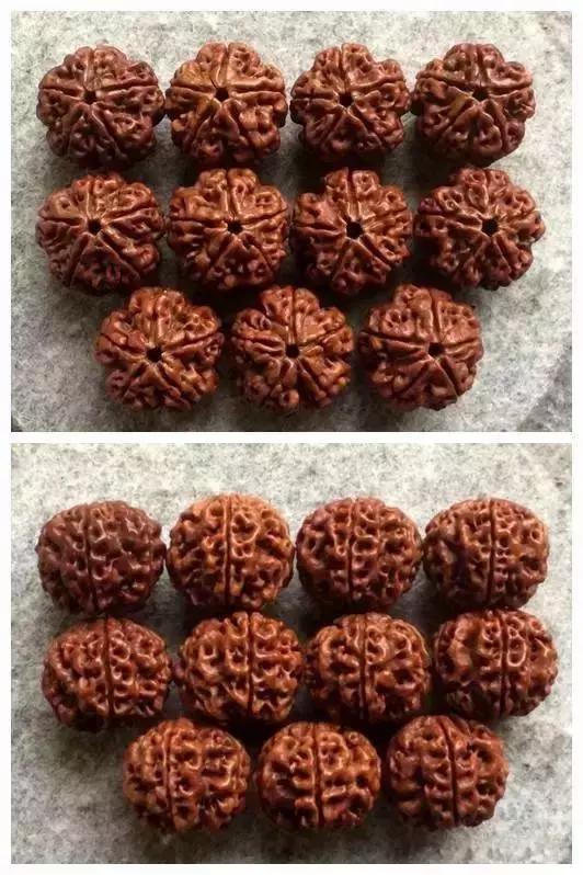 金刚菩提变黑后的重生大法金刚菩提变黑后的区别在哪 第3张