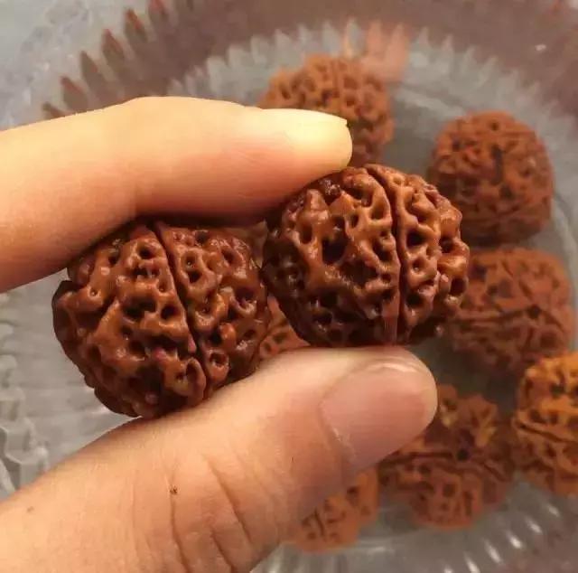 金刚菩提变黑后的重生大法金刚菩提变黑后的区别在哪 第9张