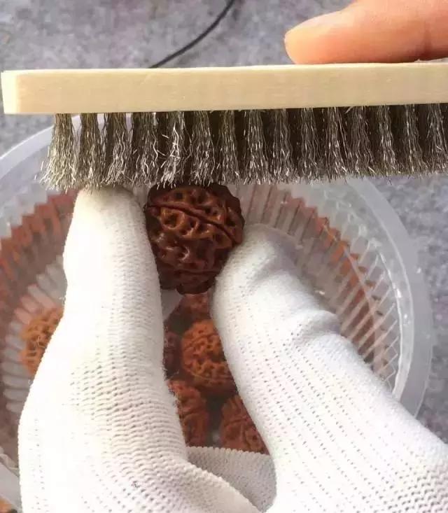 金刚菩提变黑后的重生大法金刚菩提变黑后的区别在哪 第8张
