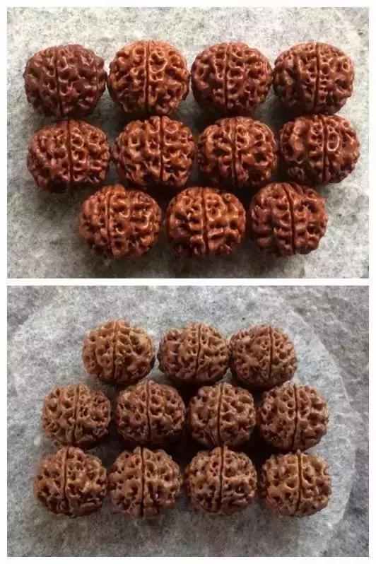 金刚菩提变黑后的重生大法金刚菩提变黑后的区别在哪 第14张