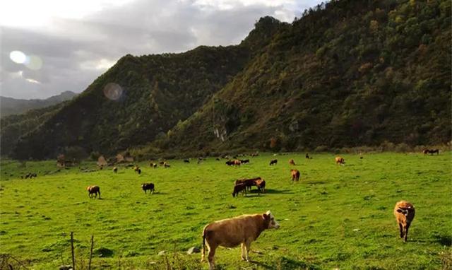 西安旅游攻略|秦岭小镇,你不得不去的地方 第1张