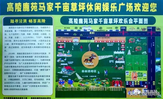 高陵区马家村千亩草坪欢乐会  第3张