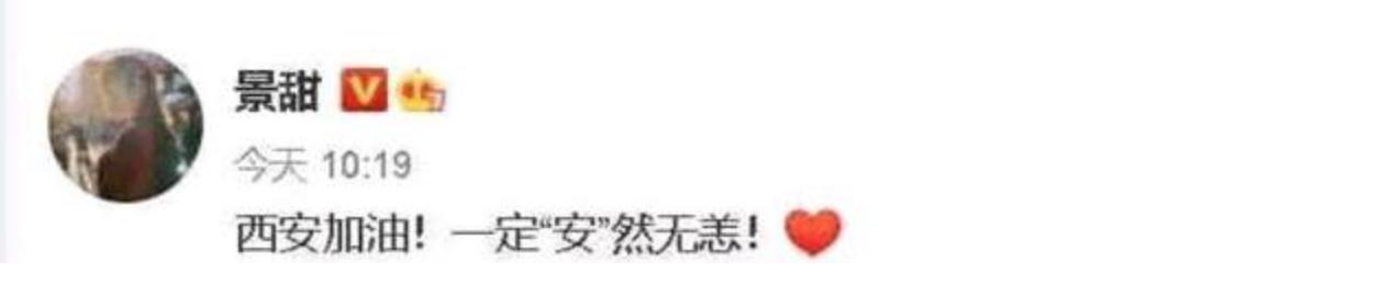 陕西籍明星为西安加油,闫妮素颜出镜 第6张