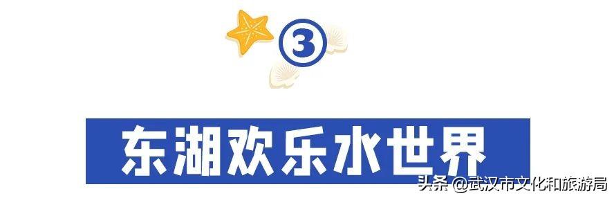 武汉市内第一座超大水上乐园②青少年宫水上世界第一座超大水上乐园 第12张
