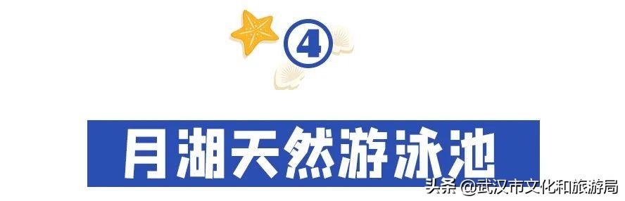 武汉市内第一座超大水上乐园②青少年宫水上世界第一座超大水上乐园 第16张