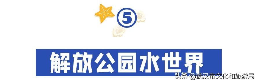 武汉市内第一座超大水上乐园②青少年宫水上世界第一座超大水上乐园 第19张