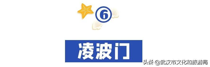 武汉市内第一座超大水上乐园②青少年宫水上世界第一座超大水上乐园 第23张
