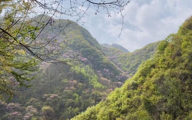 西安周边游｜超全野餐、露营地合集来啦，赶快收藏  第12张
