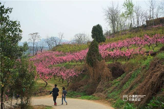 阳明山必逛的景点有哪些偷偷告诉你 第8张