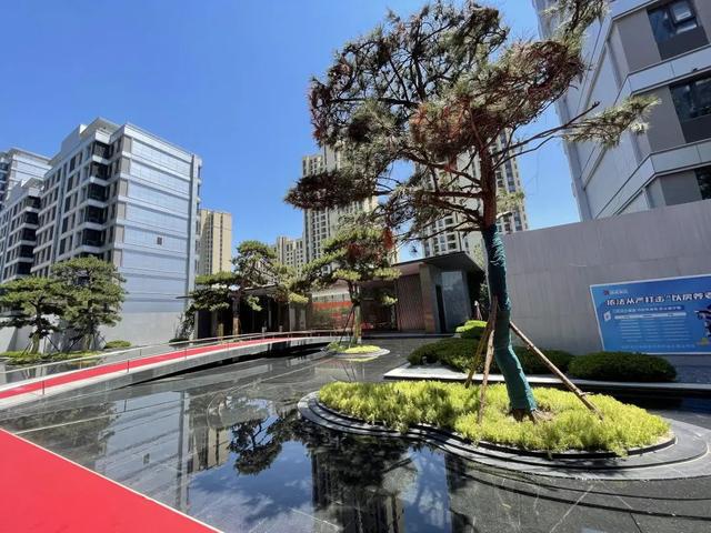 西派时代,西安沣西新城 第8张