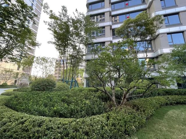 西派时代,西安沣西新城 第21张