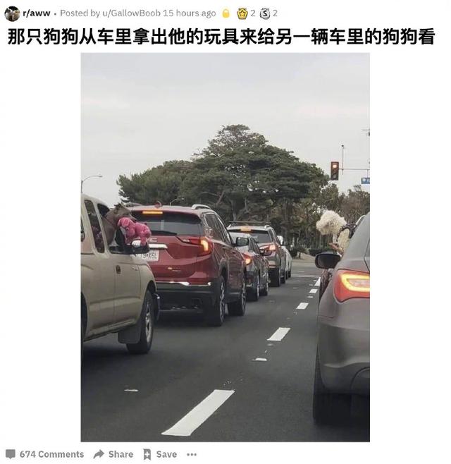 我对娱乐圈的建议,请大家参考2.赶紧起床吧自己到底有多穷 第3张
