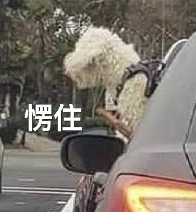 我对娱乐圈的建议,请大家参考2.赶紧起床吧自己到底有多穷 第6张