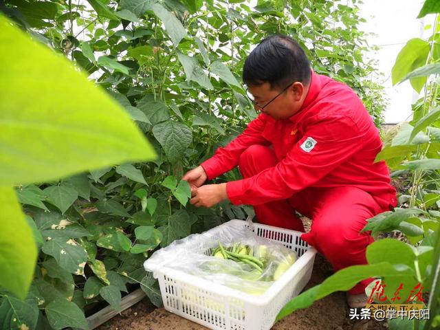 桐川作业区的“欢乐田园” 第13张