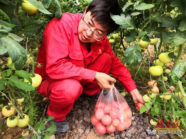 桐川作业区的“欢乐田园” 第14张