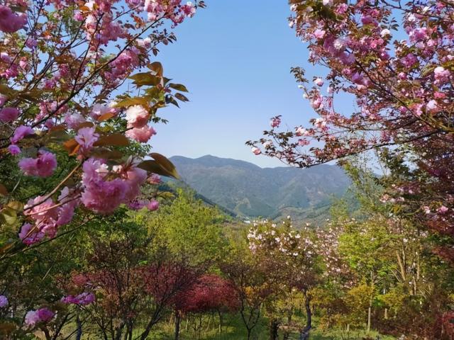 麻将的发源地是麻将的发源地,不仅是蒋介石的发源地 第30张