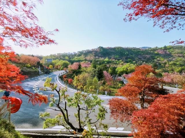 麻将的发源地是麻将的发源地,不仅是蒋介石的发源地 第31张