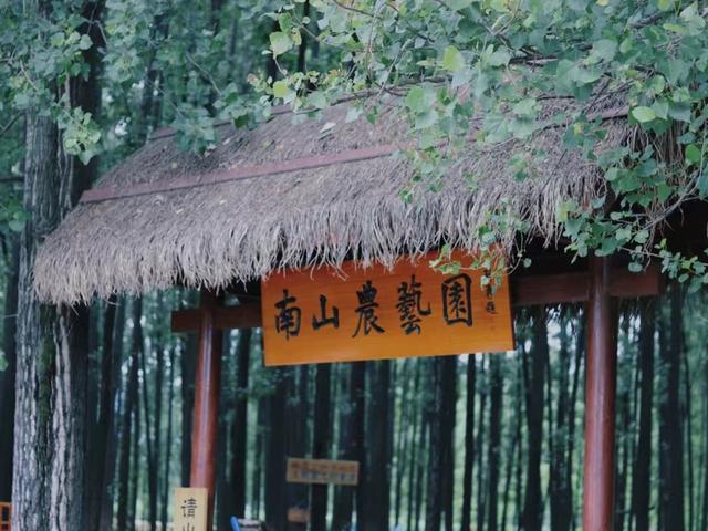 西安周边游｜在这家宝藏露营地  第2张