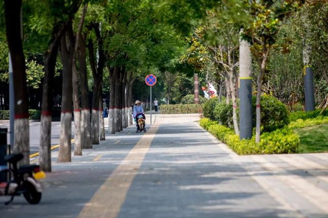 西安这7个免费的主题公园,你去过几个? 第23张