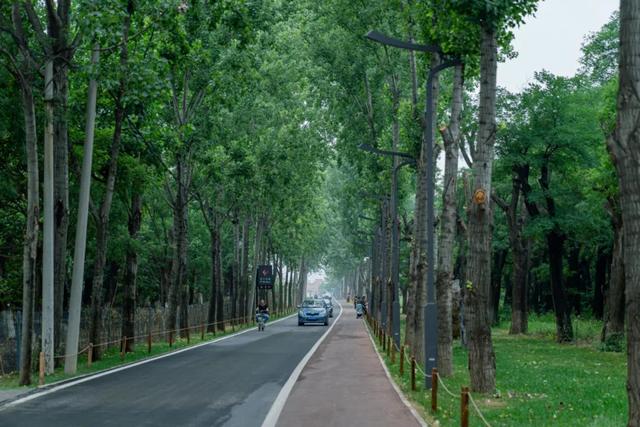 西安这7个免费的主题公园,你去过几个? 第27张