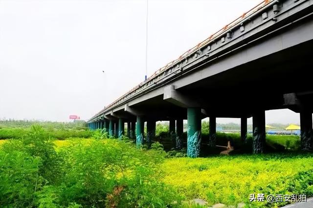 西安有处休闲游玩散心的免费湿地公园推荐西安市休闲娱乐的地方推荐  第5张